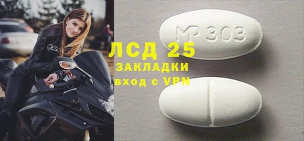 индика Абаза