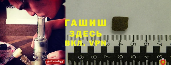индика Абаза