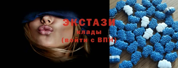 индика Абаза
