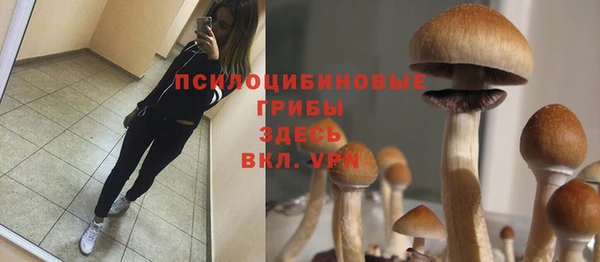 метадон Абинск