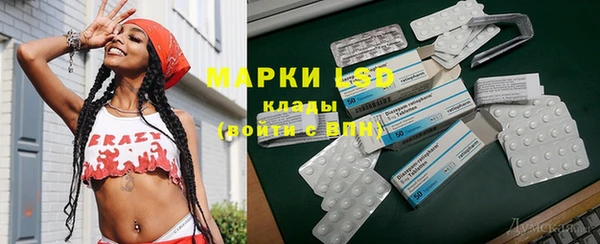 индика Абаза