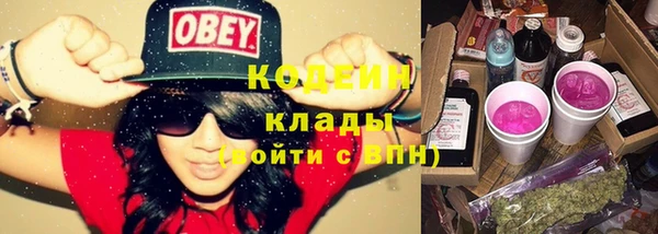 индика Абаза