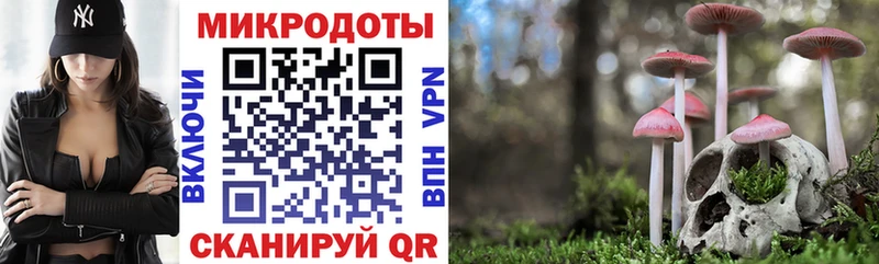 Псилоцибиновые грибы GOLDEN TEACHER  гидра вход  Дрезна 